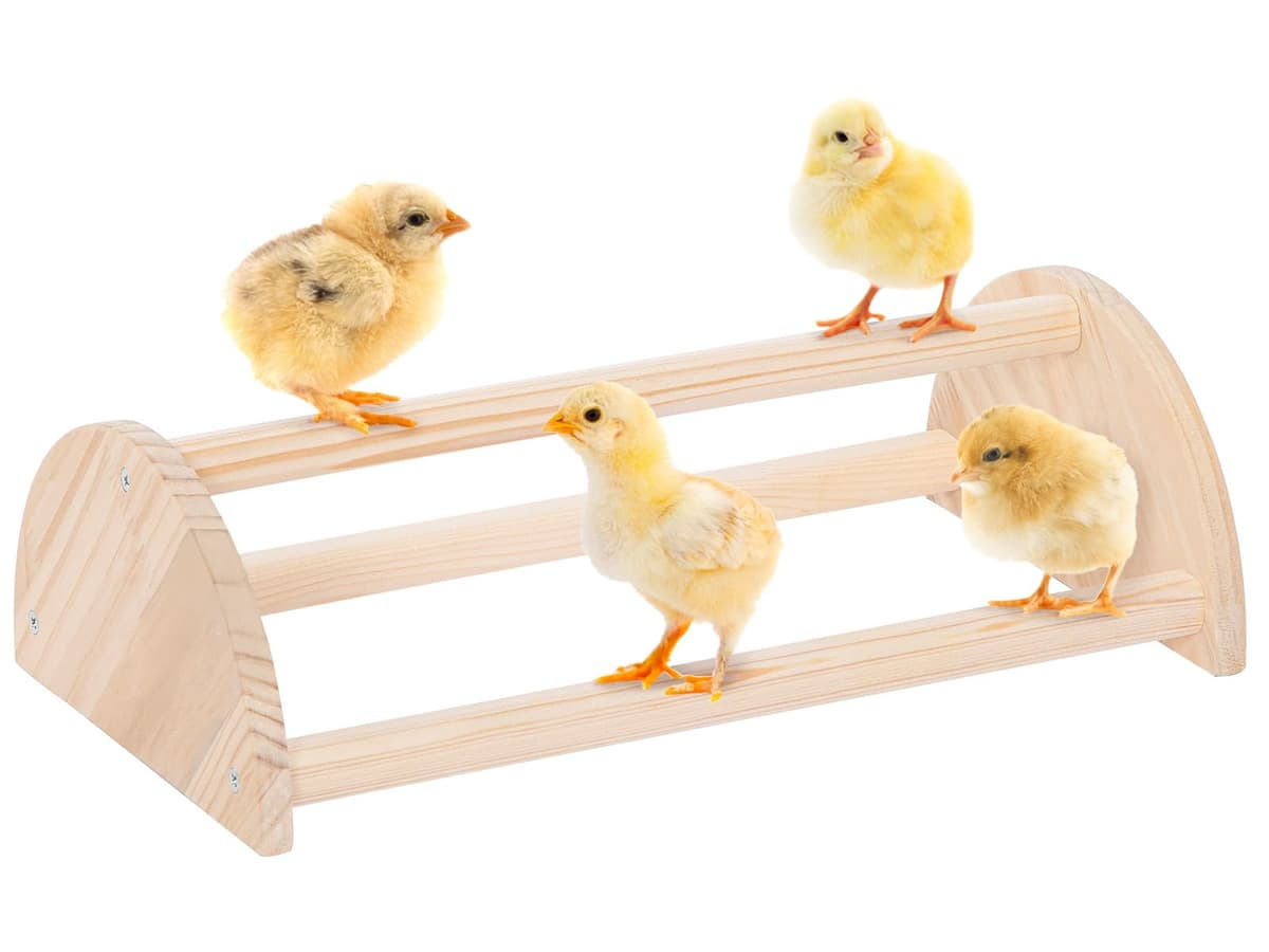 PETSFIT Chick Perch Prevent Rotation Design, Strong Wooden Chicken Roosting Bar, Easy to Assemble and Clean, Fun Toys fo