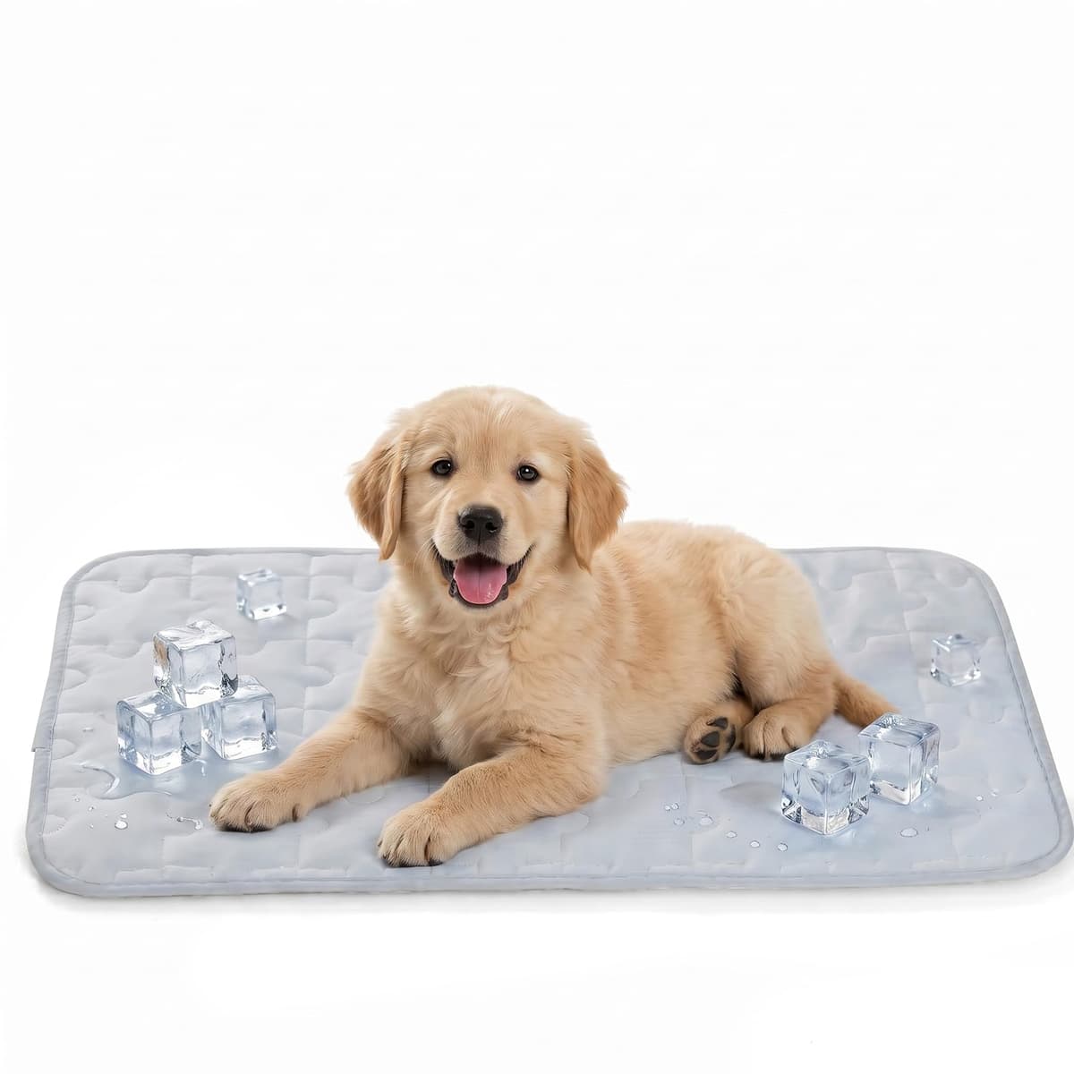 Petmorning Cooling Dog Mat for Crate, Breathable 3D Mesh Pet Bed with Moisture Wicking Core, Anti-Slip Washable Kennel P